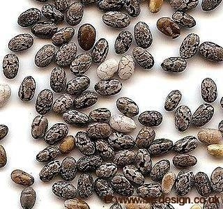 Chia Seeds
