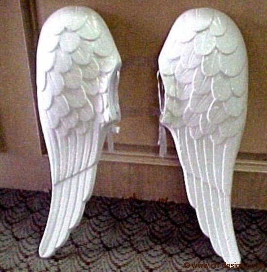 adult angel wings