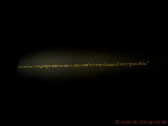 authors photo from the alexander mcqueen exhibition
