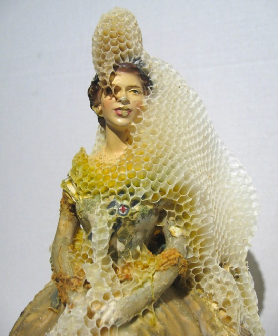 untitled1